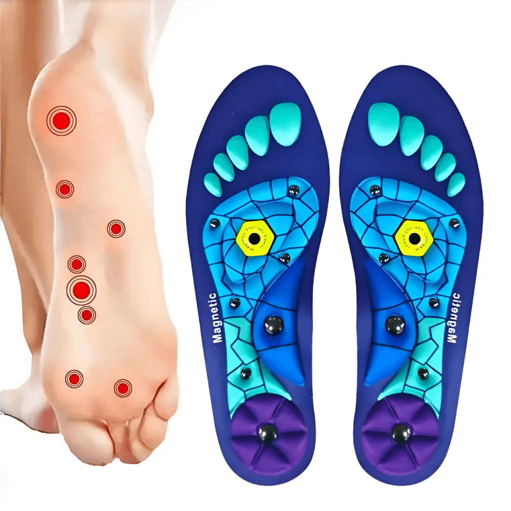 Магнитни стелки 1